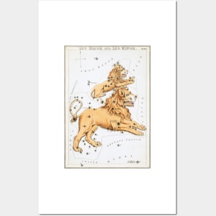 astrological sign Leo Posters and Art